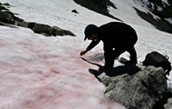 В итальянских Альпах появился розовый лед - «Фото»