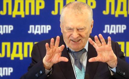 Жириновский запретил Хабаровскому отделению ЛДПР поддерживать Фургала - «Политика»