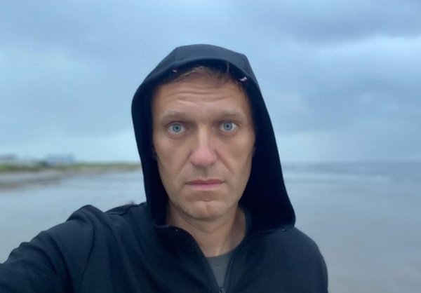 Токсиколог: У Навального не было симптомов, характерных для отравления ингибиторами холинэстеразы - «Новороссия»