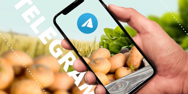 ТОП телеграм-каналов о сельском хозяйстве - «Политика»