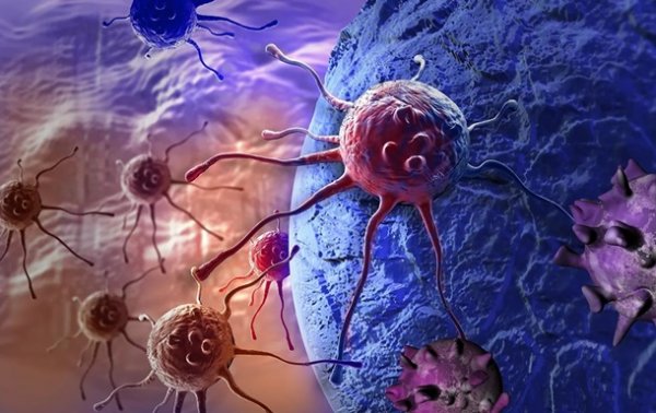 Ученые раскрыли загадку появления раковых опухолей - «Наука»