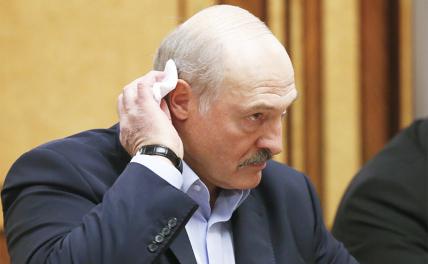 Москва устала от Лукашенко: Кремль готов сменить белорусского президента? - «Политика»
