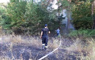 На Днепропетровщине всю ночь боролись с лесным пожаром - «Фото»