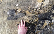 Шотландка во время пробежки нашла кость динозавра - «Фото»