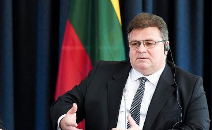 Литва пошла «в отказ»: Мы не вмешиваемся в дела Беларуси - «Политика»