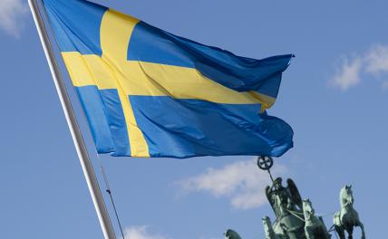 Швеция поквитается с Россией за Полтаву - «Политика»