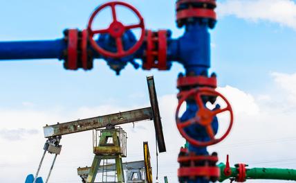 Экономический парадокс: России не хватает нефти - «Экономика»