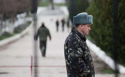 Крым, частичная мобилизация: «Мы должны знать, идем побеждать или тупо погибать» - «Военные действия»