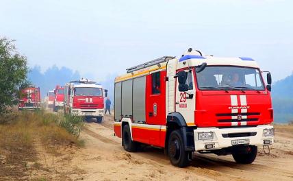Лесной пожар в Рязанской области, а паленым запахло в Москве - «Происшествия»