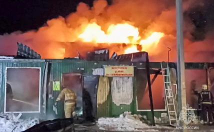 Трагедия в Кемерово: Сгоревший дом престарелых был замаскирован под магазин для животных - «Происшествия»