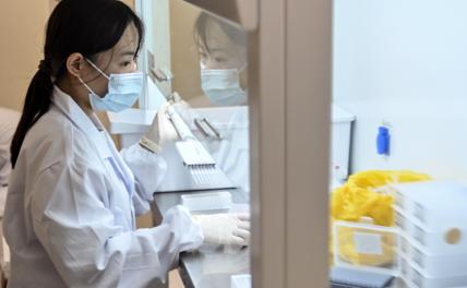 Китайские ученые избавят человечество от диабета и бесплодия - «В мире»