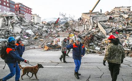 Землетрясение в Турции: Политические «афтершоки» всему миру обеспечены до мая - «В мире»