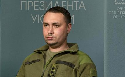 Буданов готов покончить с Зеленским и стать Петлюрой - «Политика»
