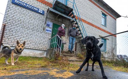 «Почта России» бросает вызов OZON, Wildberries и «Авито» - «Экономика»
