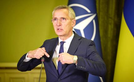 ГУР Украины и лично Буданов «удивят» Россию после саммита НАТО - «Политика»