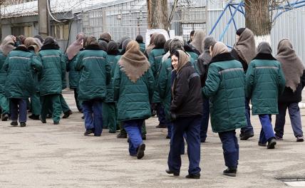 Демографию в РФ поправят заключенные? - «Общество»