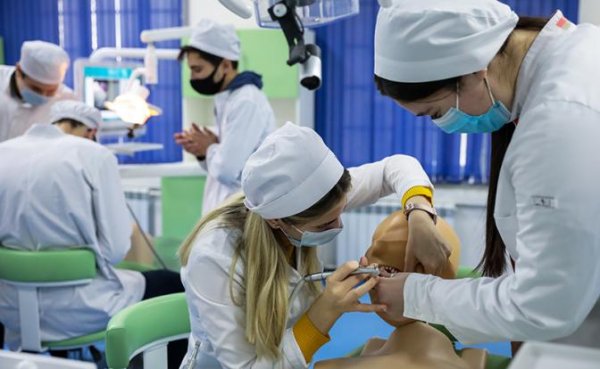 Диплом врача по цене московской «однушки» — кто-то на этом хорошо наживается - «Общество»