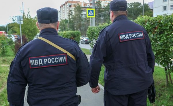 Полиция стремительно исчезает с улиц российских городов, зато генералов в органах — пруд пруди - «Политика»