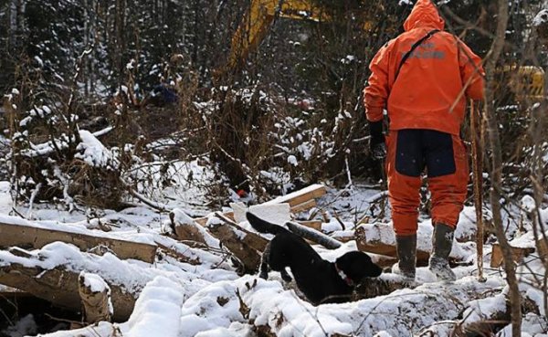 Убийство, похищение или бегство? Новые подробности о семье Усольцевых только добавили загадок - «Происшествия»