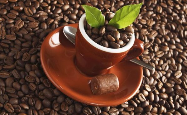 От чайной церемонии — к кофейной дипломатии. Как Китай покоряет мир, нам бы поучиться - «В мире»