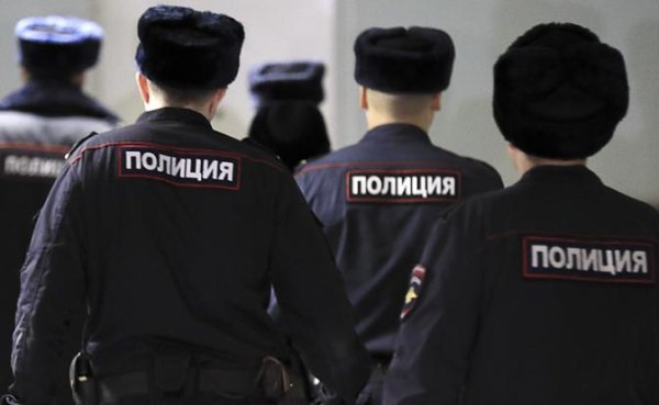 Адепты Зеленского устроили сходку в Санкт-Петербурга - «Происшествия»