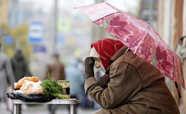 Депутатский запрос: Красноярск порадовал слуг народа пенсиями в 200−300 тысяч. И вообще там все хорошо - «Общество»