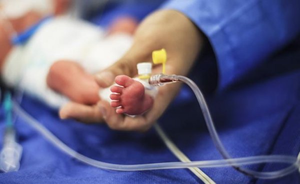 Трагедия в роддоме Новокузнецка, которая потрясет не только Кузбасс, но и Москву: Новый год обернулся массовой гибелью младенцев - «Здоровье»