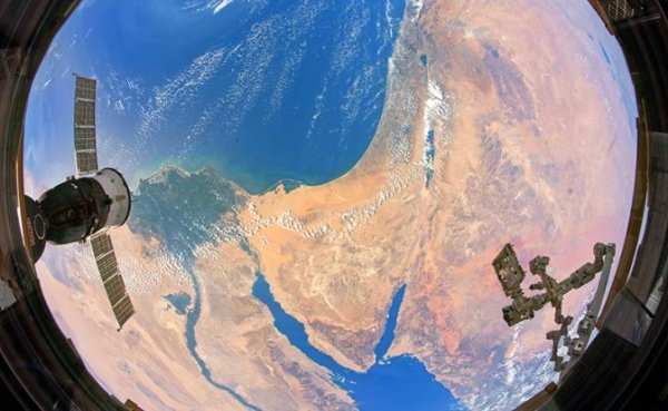 Трамп представит на ЧМ по футболу команду внеземного разума - «В мире»