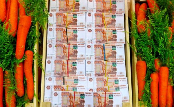 Пенсия — миллион и выше: Куда пойти учиться, чтобы к старости озолотиться - «Общество»