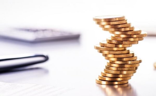 Власть волнуется, что «сазаны» зажрались. Депутаты начали переписку с министрами об отмене льготного НПД - «Экономика»