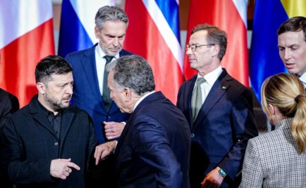 Кушнер и Уиткофф убедят Зеленского не бить по российским НПЗ и портам? - «Политика»