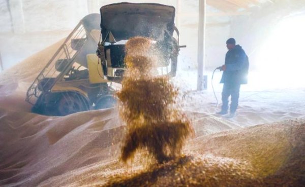 «Путин над нами издевается»: Российская пшеница стала новой нефтью, удобрения — новым газом - «В мире»