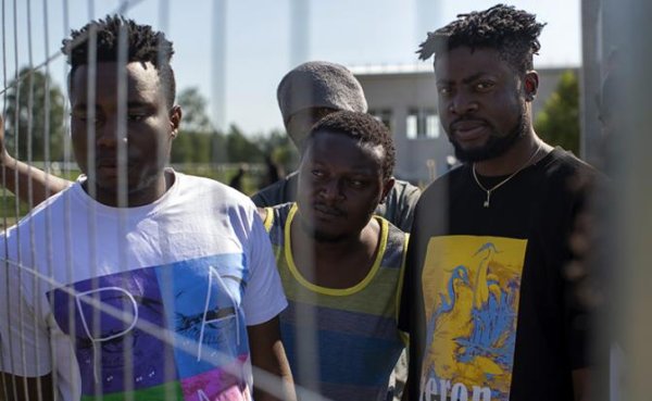 Сенегал — это не только «чудеса, крокодилы и баобабы», но и десятки дворников для Оренбурга - «Общество»