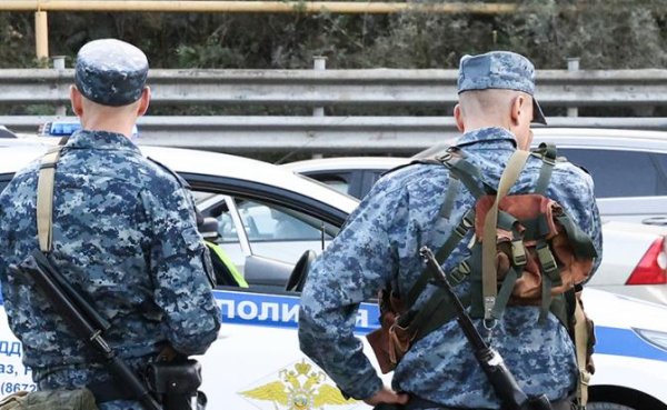 «Турслет» под Выборгом: Одурманенные наркотой и фестом питерские панки запели бандеровские песни - «Происшествия»